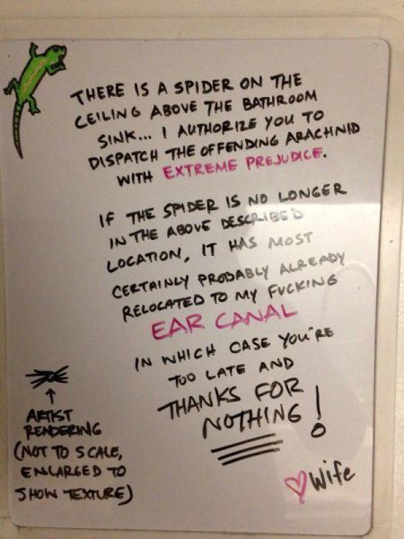 Acid Picdump (94 pics)