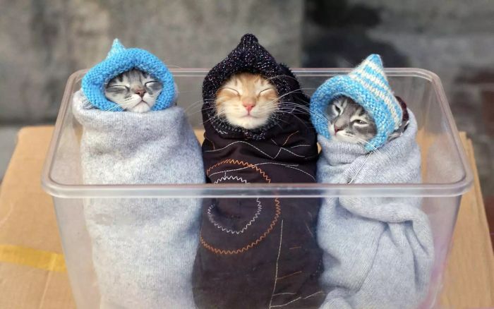 Acid Picdump (94 pics)