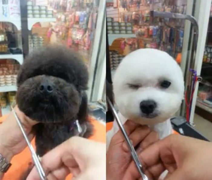 Acid Picdump (91 pics)