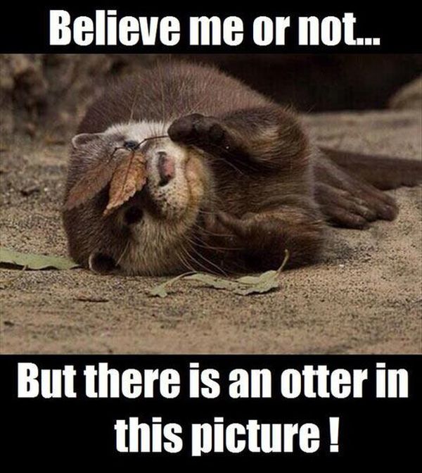 Acid Picdump (91 pics)