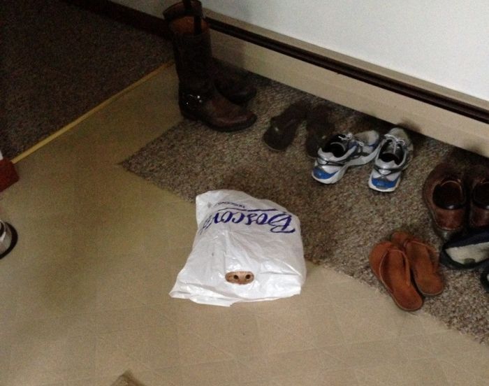 Acid Picdump (91 pics)