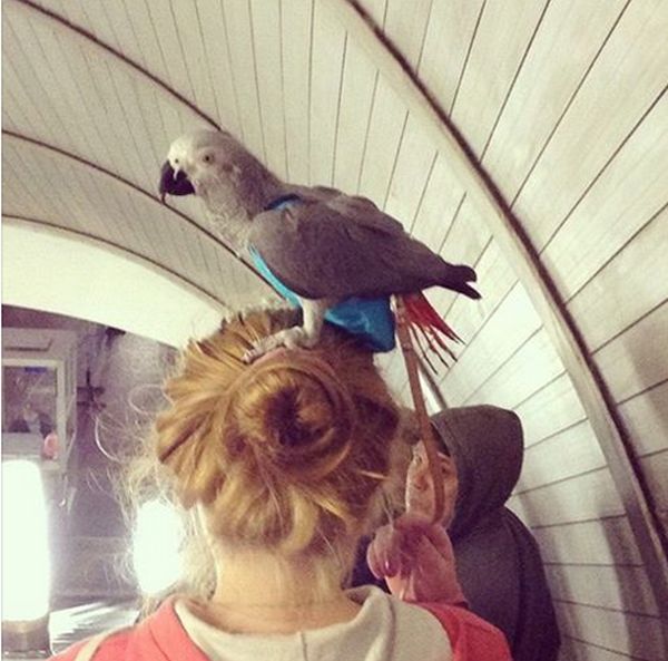 Acid Picdump (91 pics)