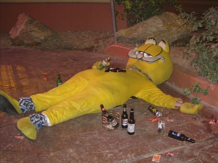Acid Picdump (91 pics)