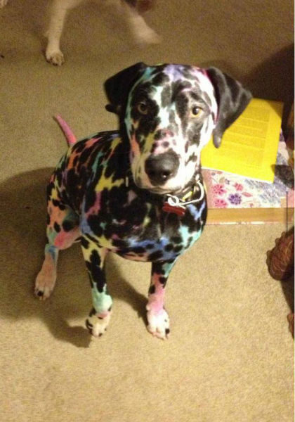Acid Picdump (91 pics)