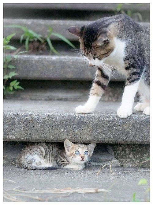 Acid Picdump (91 pics)