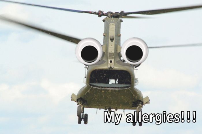 Acid Picdump (91 pics)