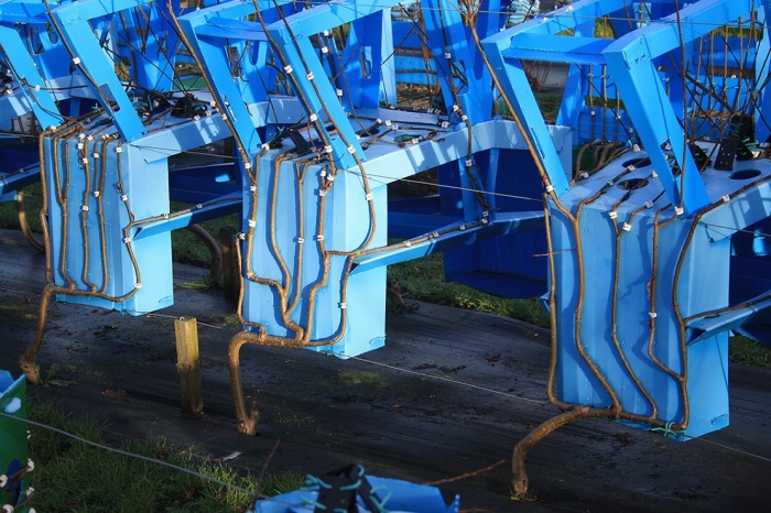 Modern Technology Turns Trees Into Art And Furniture (9 pics)