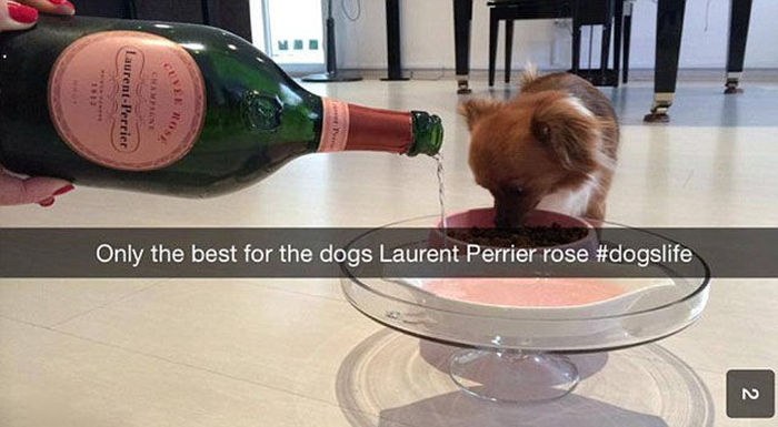 The Rich Kids Of Snapchat Are Getting To Be Obnoxious (18 pics)