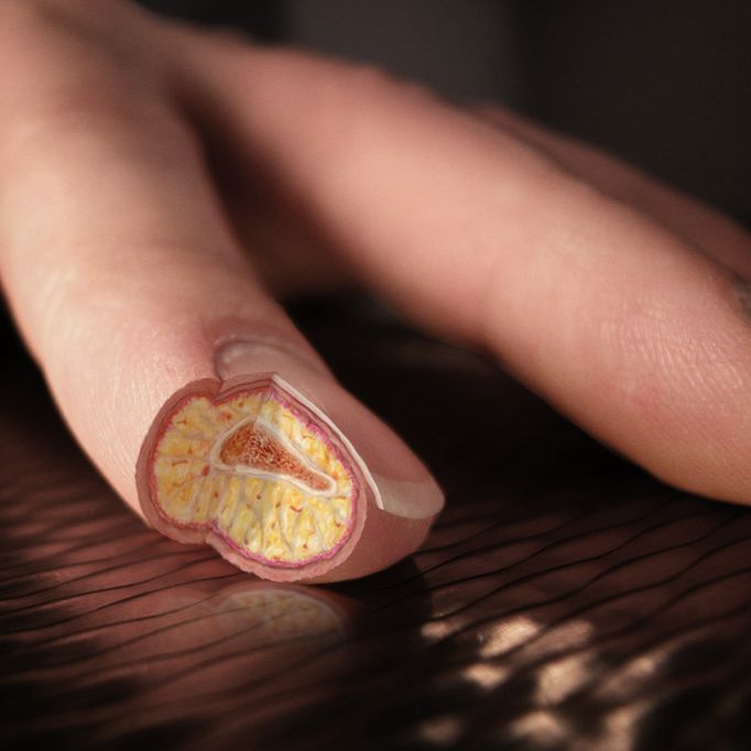 Meet The Digital Age Leonardo da Vinci (15 pics)