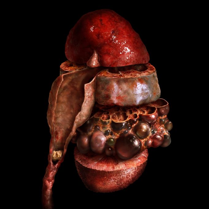 Meet The Digital Age Leonardo da Vinci (15 pics)