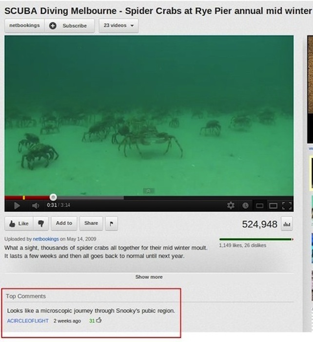 Sometimes The Best Thing About YouTube Is The Comments (24 pics)