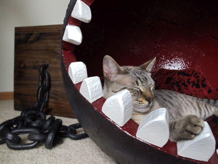 Meet The Cats That Sleep Inside A Chain Chomp From Super Mario Bros. (11 pics)