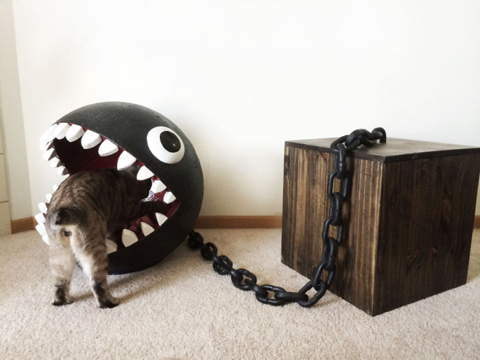 Meet The Cats That Sleep Inside A Chain Chomp From Super Mario Bros. (11 pics)