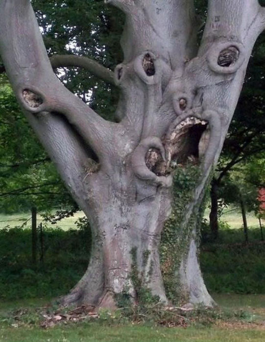 The Forecast Is Cloudy With A Whole Lot Of Nope (58 pics)