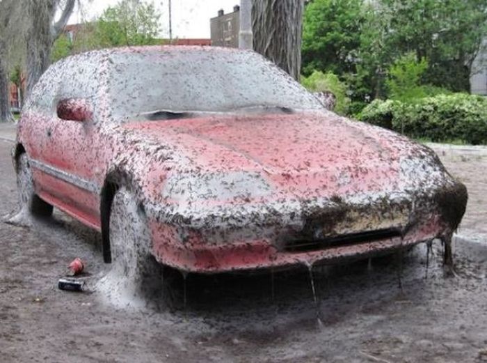The Forecast Is Cloudy With A Whole Lot Of Nope (58 pics)