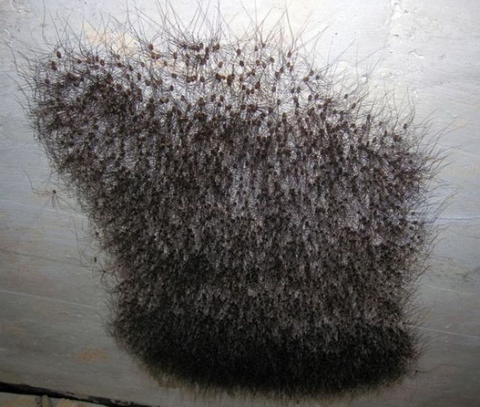 The Forecast Is Cloudy With A Whole Lot Of Nope (58 pics)