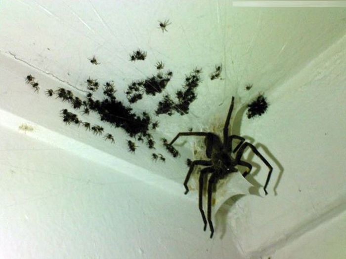 The Forecast Is Cloudy With A Whole Lot Of Nope (58 pics)