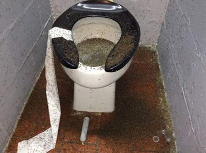The Forecast Is Cloudy With A Whole Lot Of Nope (58 pics)