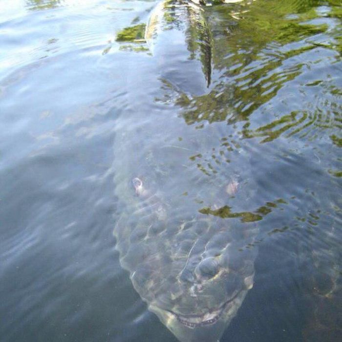 The Forecast Is Cloudy With A Whole Lot Of Nope (58 pics)