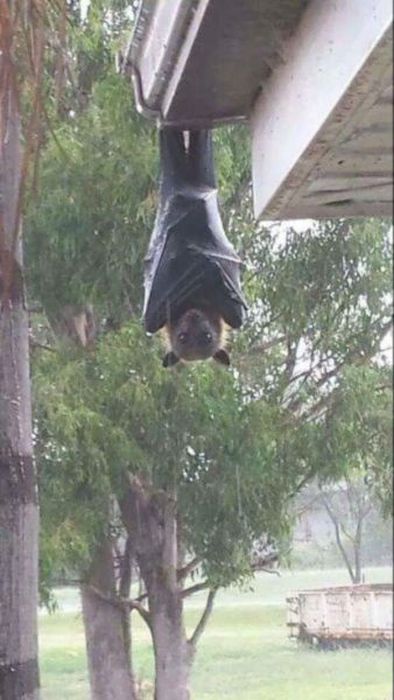 The Forecast Is Cloudy With A Whole Lot Of Nope (58 pics)
