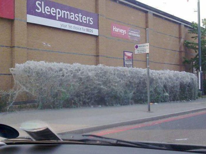 The Forecast Is Cloudy With A Whole Lot Of Nope (58 pics)