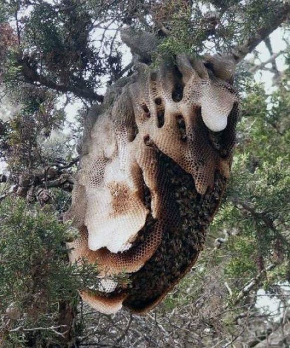 The Forecast Is Cloudy With A Whole Lot Of Nope (58 pics)