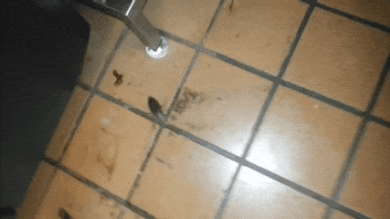 The Forecast Is Cloudy With A Whole Lot Of Nope (58 pics)