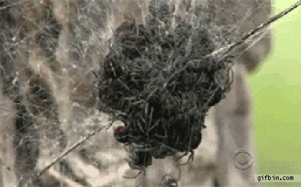 The Forecast Is Cloudy With A Whole Lot Of Nope (58 pics)