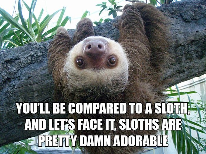 Here Are 10 Reasons Why It's Ok To Be Lazy (10 pics)