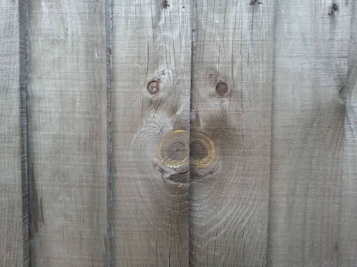Acid Picdump (94 pics)