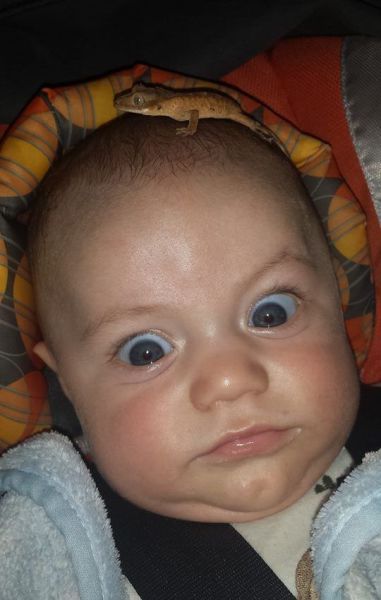 Acid Picdump (94 pics)