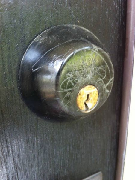 Acid Picdump (94 pics)