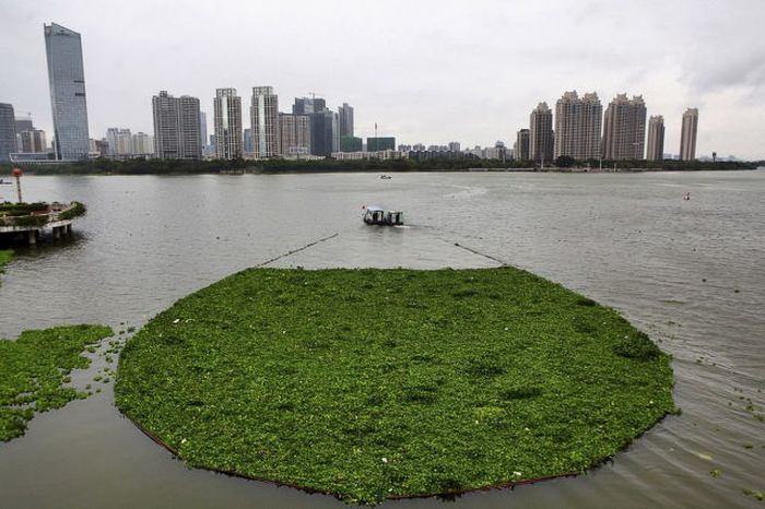 Candid Photos Show A Different Side Of Life In China (59 pics)