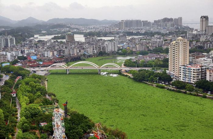 Candid Photos Show A Different Side Of Life In China (59 pics)