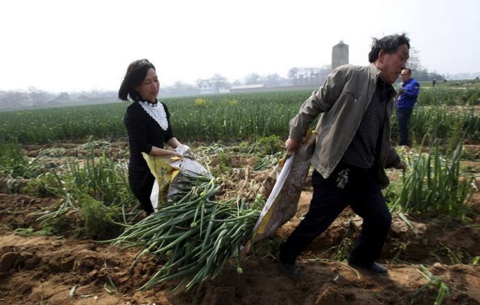 Candid Photos Show A Different Side Of Life In China (59 pics)