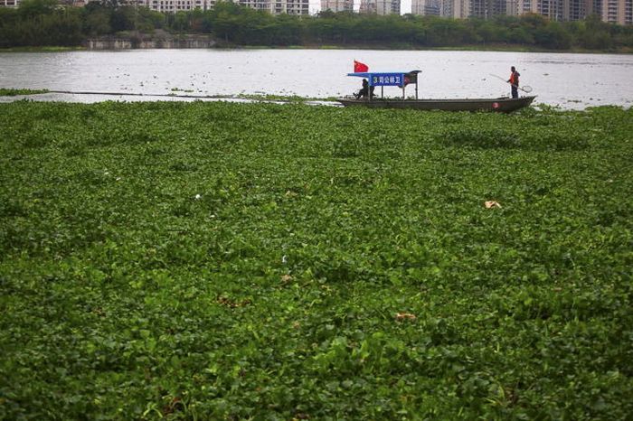 Candid Photos Show A Different Side Of Life In China (59 pics)