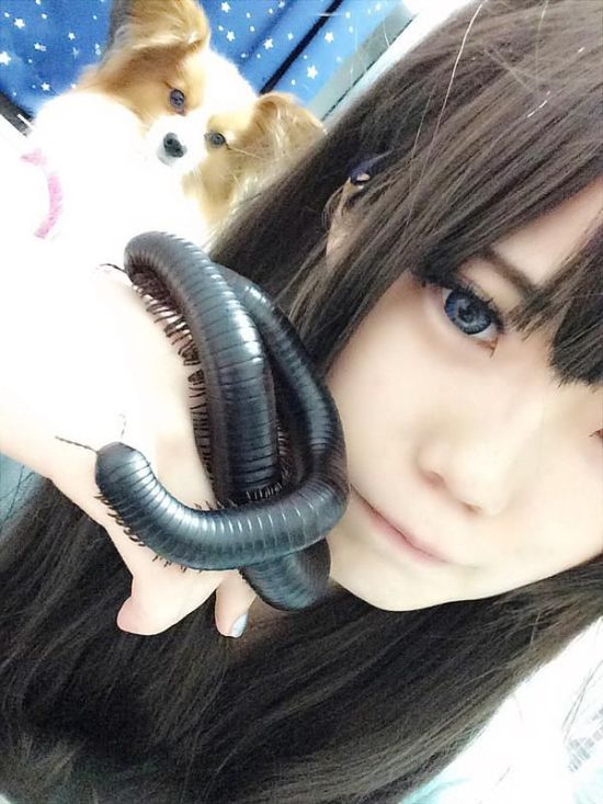 Young Girl Keeps A Giant Insect As A Pet (4 pics)