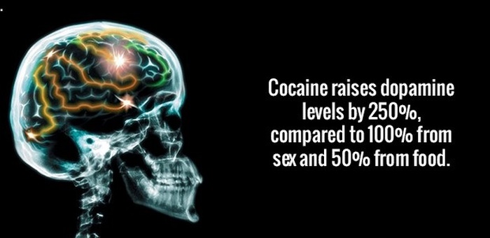 Here's Another Dose Of Fun And Interesting Facts (20 pics)