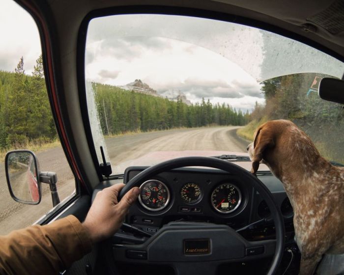 This Lucky Rescue Dog Gets To Go On Amazing Adventures (21 pics)