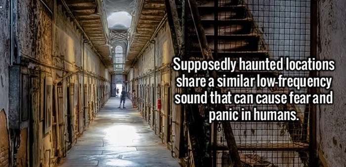 Make Yourself Smarter By Learning These Fun And Interesting Facts (20 pics)