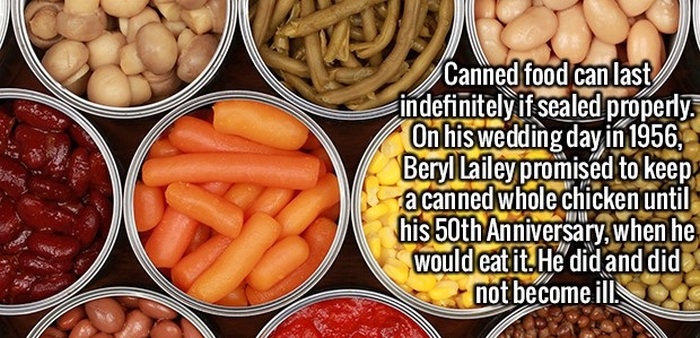 Make Yourself Smarter By Learning These Fun And Interesting Facts (20 pics)