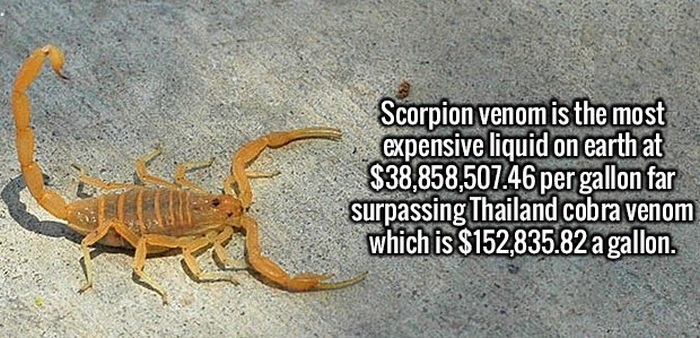 Make Yourself Smarter By Learning These Fun And Interesting Facts (20 pics)
