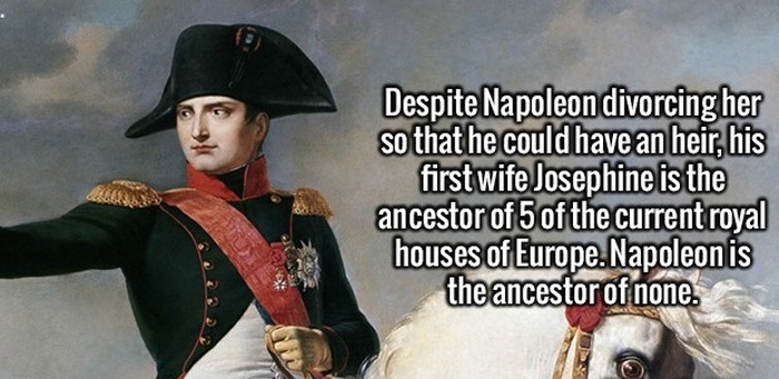 Make Yourself Smarter By Learning These Fun And Interesting Facts (20 pics)