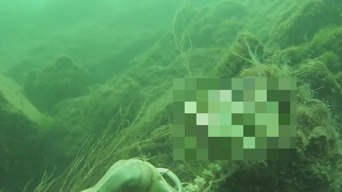 Man Finds Something Crazy In The Colorado River (4 pics)