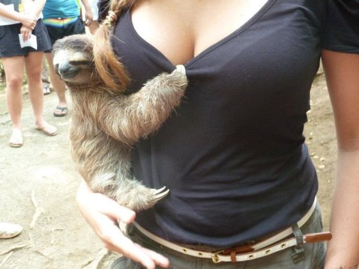 These Animals Clearly Don't Know The Meaning Of Sexual Harassment (22 pics)