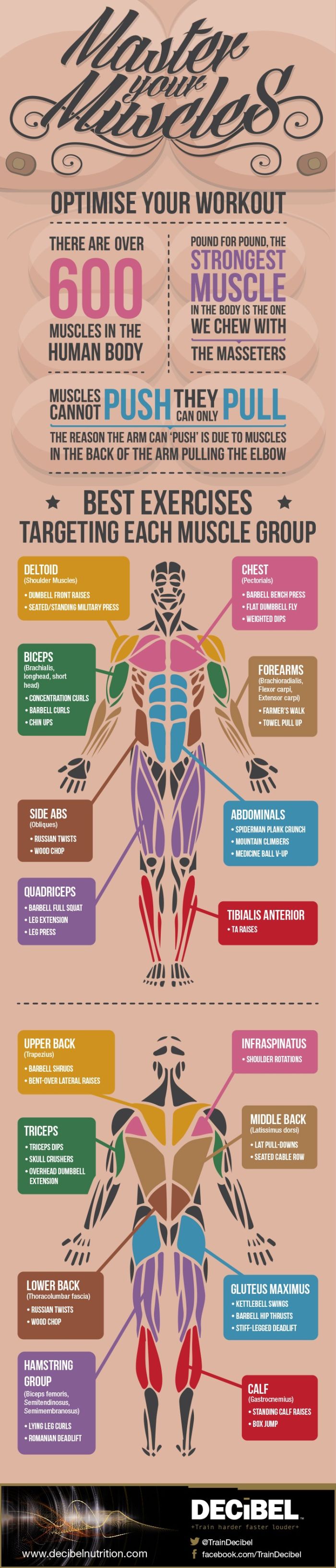 Useful Pieces Of Information That You Need To Know (17 pics)