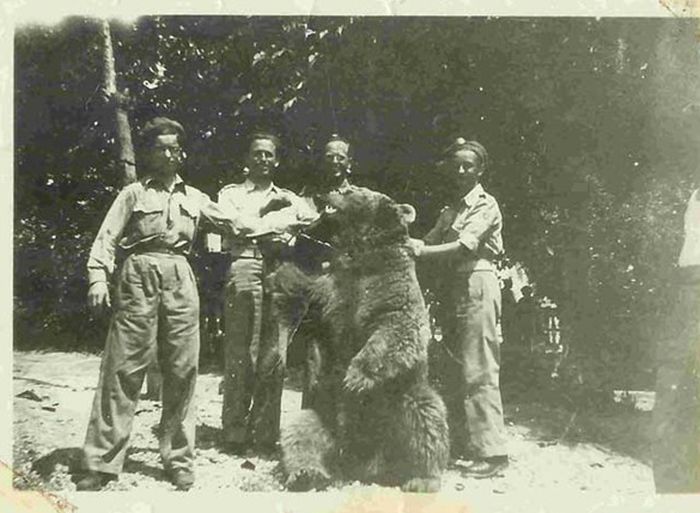 Meet Voytek The Bear That Was Raised By Soldiers (18 pics)