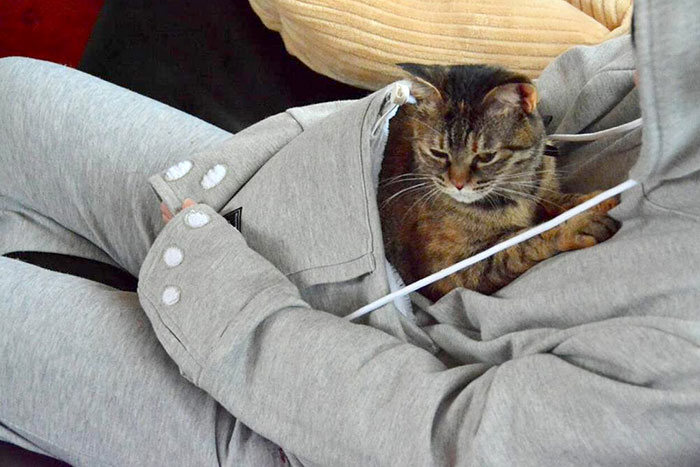 This Cat Hoodie Has A Kangaroo Pouch So You Can Take Your Pet Everywhere (12 pics)