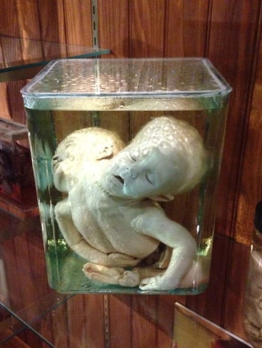 This Museum Is Like A Nightmare Come To Life (16 pics)