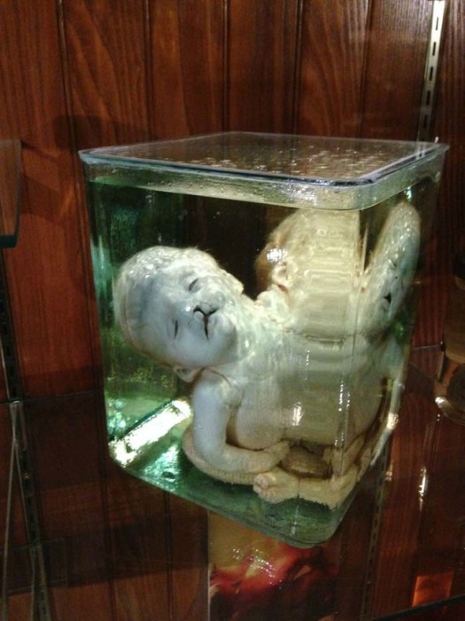 This Museum Is Like A Nightmare Come To Life (16 pics)